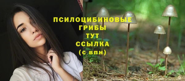крисы Карпинск