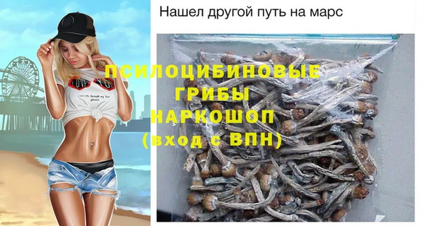 крисы Карпинск