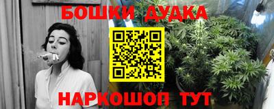крисы Гусев