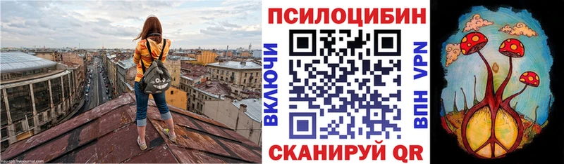 где найти   ссылка на мегу вход  Псилоцибиновые грибы Cubensis  Чернушка 