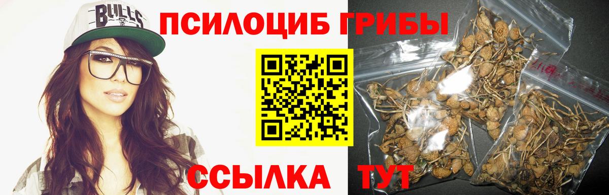 Чернушка  Псилоцибиновые грибы мицелий  Вход с VPN 